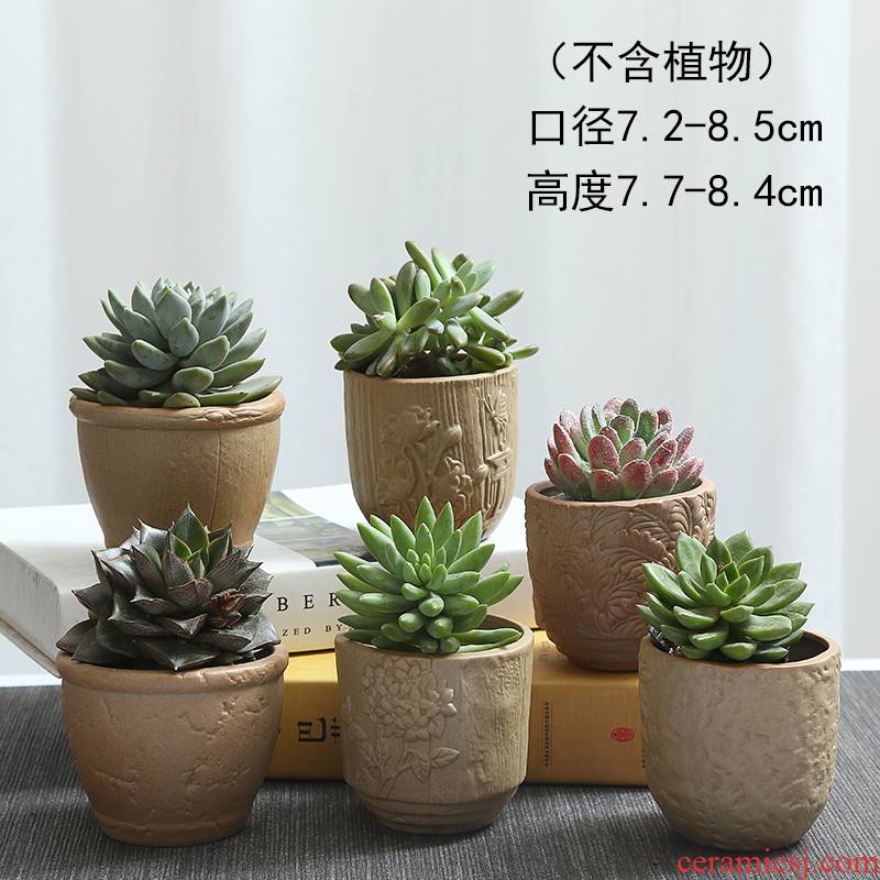Biscuit firing ceramic flower pot the plants more coarse pottery, fleshy meat meat, green potted contracted move flowerpot large old basin
