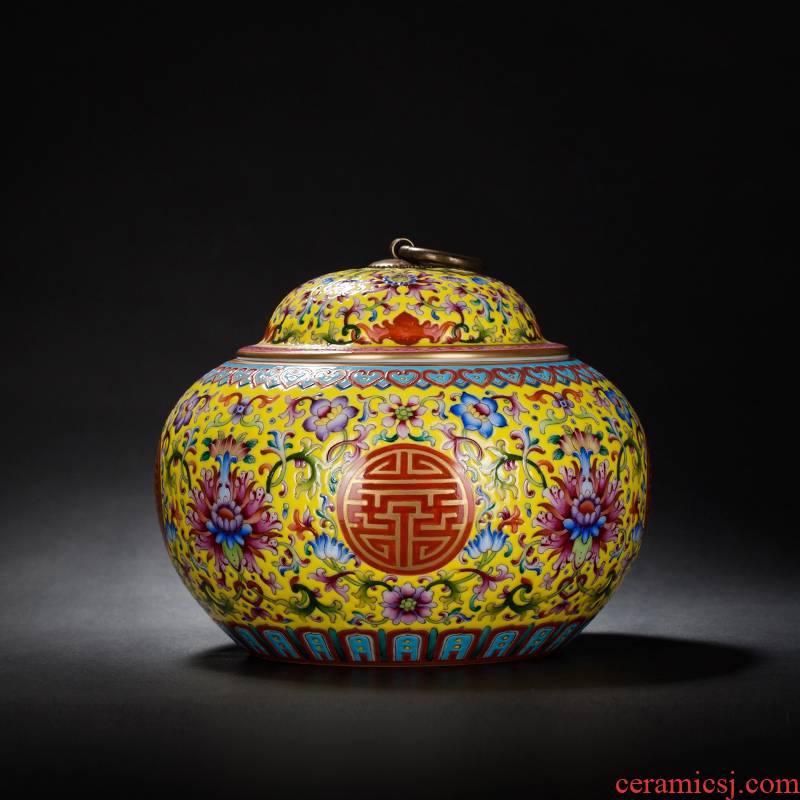 Group long - lived colored enamel jar of jingdezhen ceramic decoration ware rich ancient frame study the sitting room of Chinese style household furnishing articles