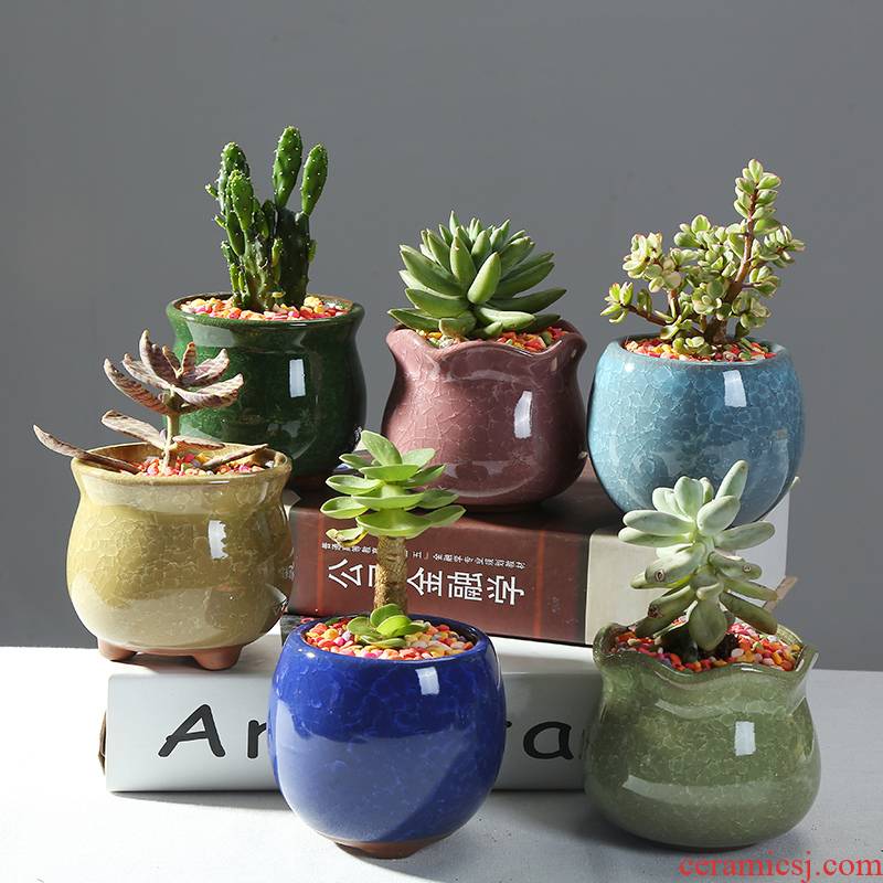 Meaty plant POTS ice to crack the and colorful fleshy old running the ceramic flower pot money plant asparagus, green flowerpot furnishing articles