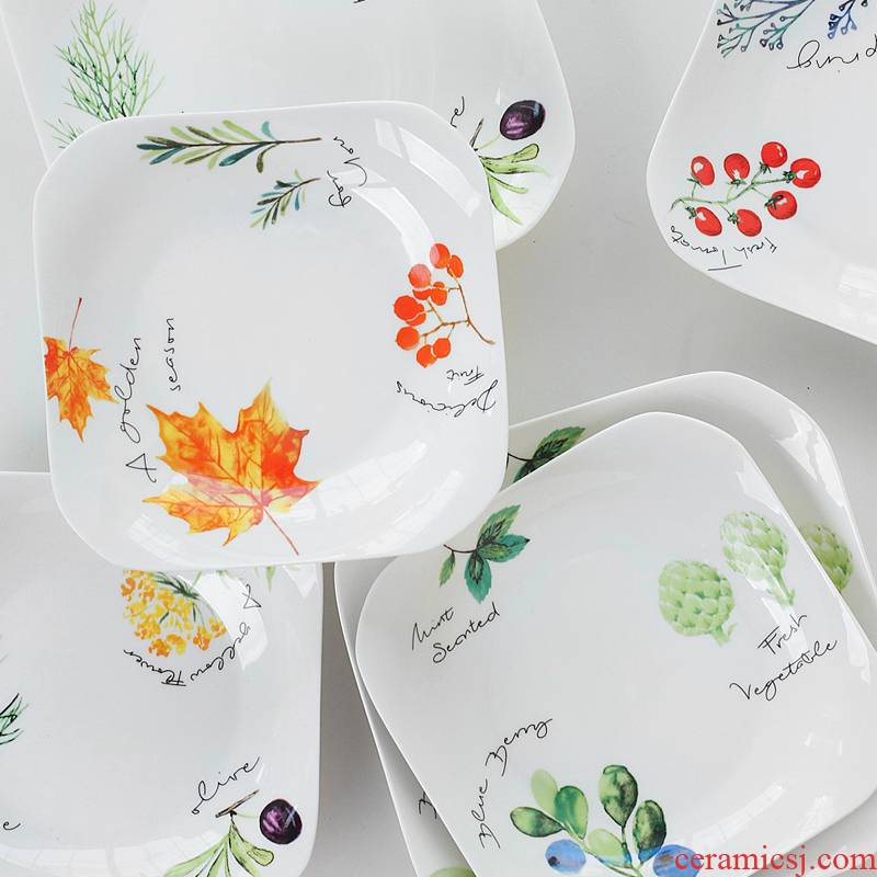 Household tangshan north house industry ipads porcelain tableware side dish dish FanPan deep LIDS, creative side plate ceramic plates