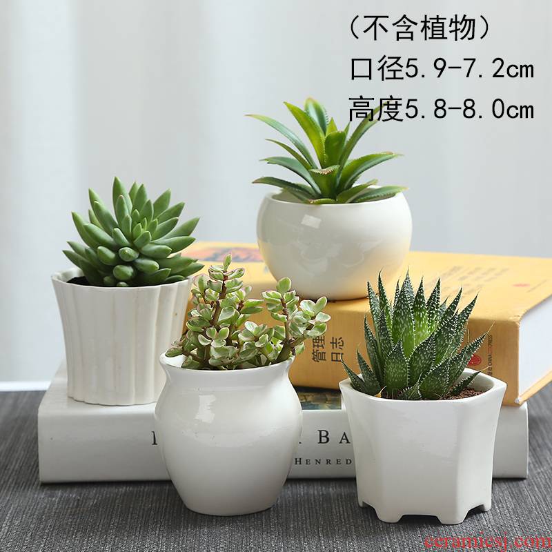 White contracted TaoXin language meaty plant flower pot ceramic creative move White porcelain, the plants potted fleshy flower pot