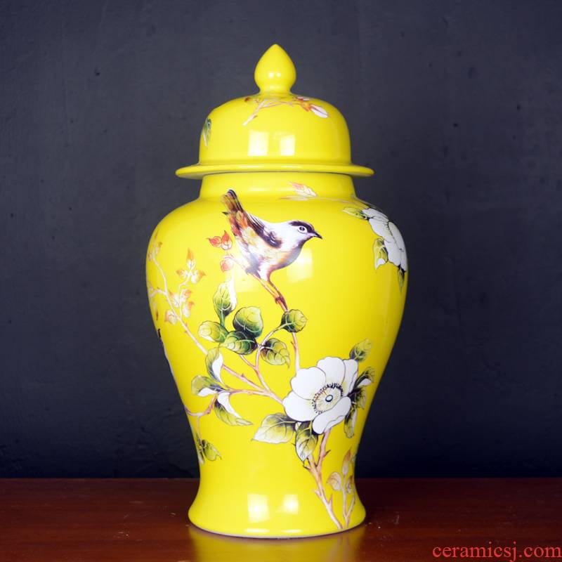 Jingdezhen porcelain pot vase flower arrangement sitting room of large storage tank wine household soft adornment is placed between the example