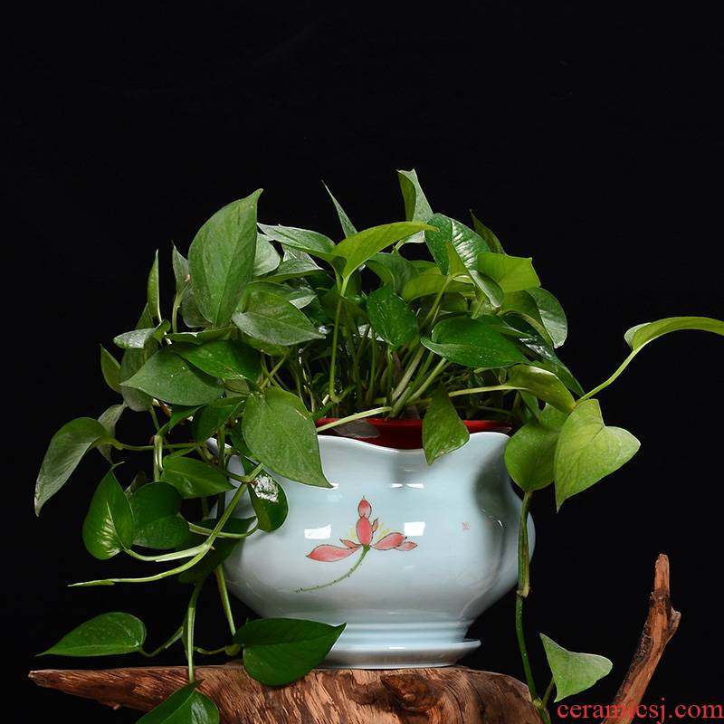 Extra large money plant pot celadon ceramics with tray indoor plant green plant potted potted orchids sitting room