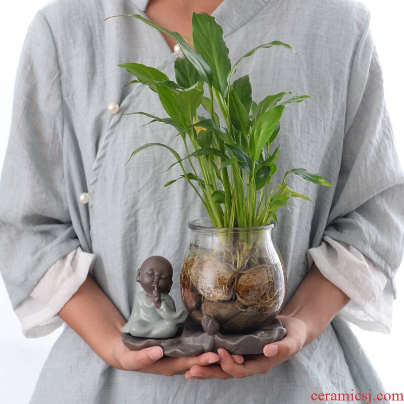 Water have other ceramic flower pot glass vase monk zen furnishing articles white palm lucky bamboo grass cooper hydroponic container