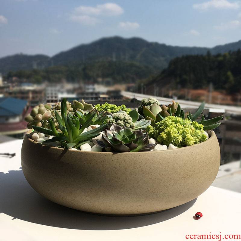 Large diameter more meat platter Large coarse pottery violet arenaceous hydroponic container meat meat copper grass refers to flower pot ceramic wholesale