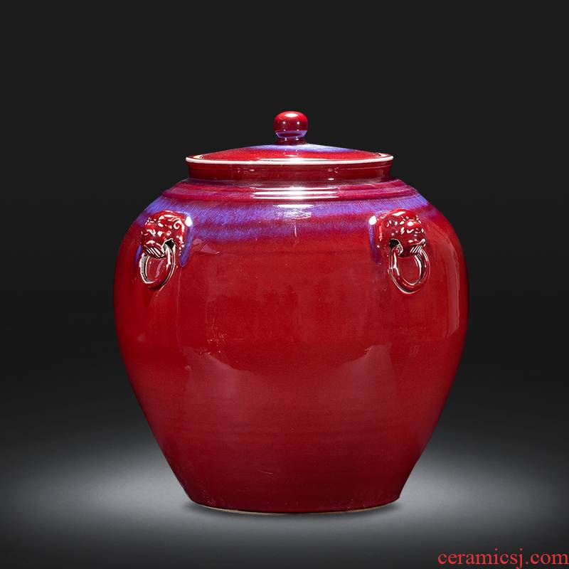 Jingdezhen ceramics up lion epicranium tank storage tank is the new Chinese rich ancient frame home decoration decoration