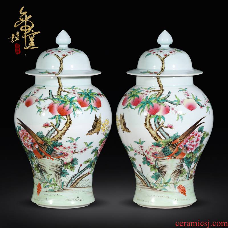 Antique hand - made pastel notes tong prosperous general pot of jingdezhen porcelain vases, Chinese style living room decorative furnishing articles