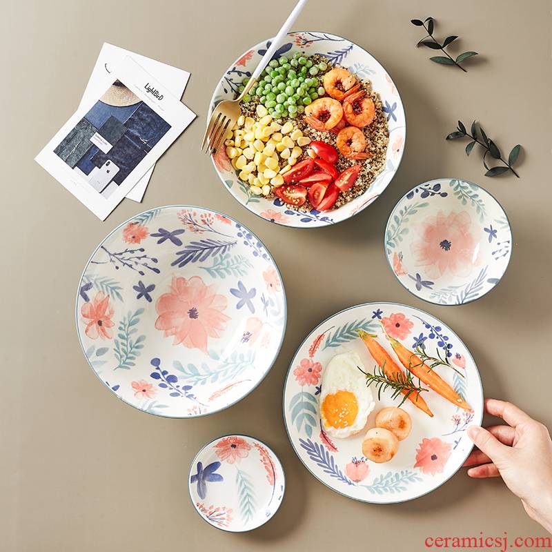 Creative combination salad bowl Nordic hand - made ceramic bowl, a single bowl dishes move jobs household fruits dessert bowl
