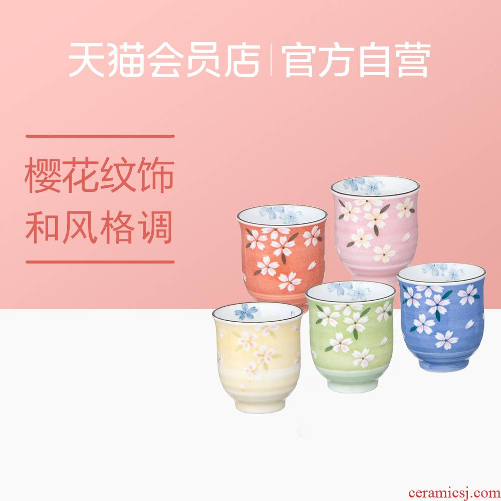 MinoYaki meinung burn imported from Japan jing ying, hand - made ceramic cup cup five times gift boxes