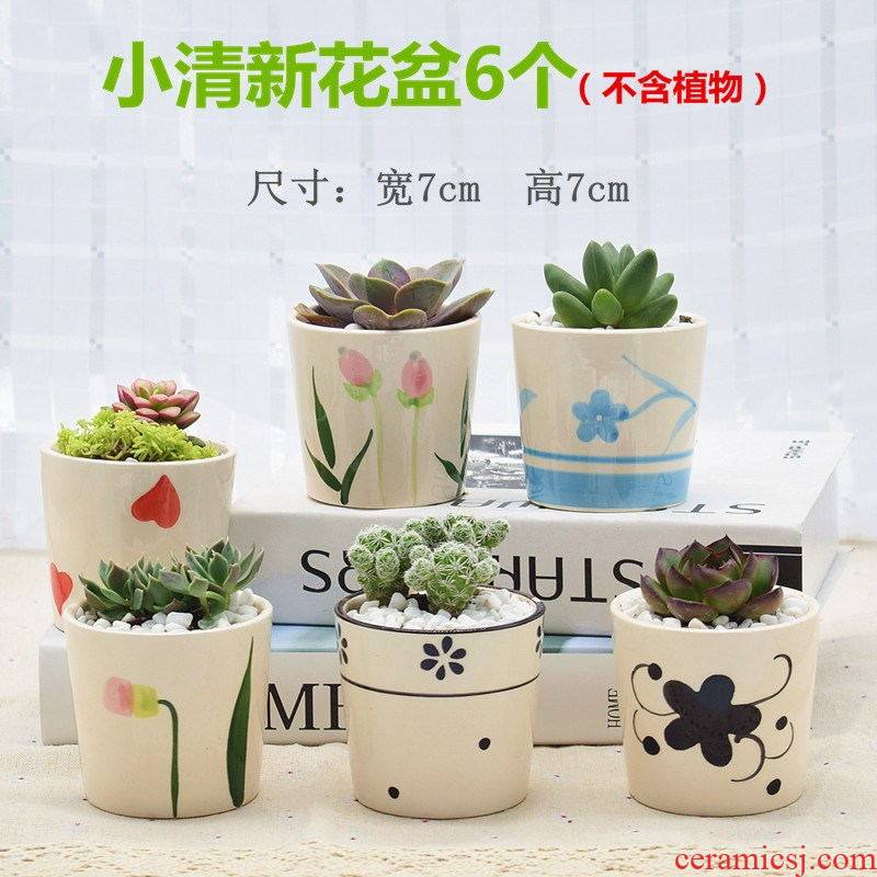 Korean fleshy flowerpot coarse TaoLiu basin character miniature ceramic glaze, thumb flowerpot breathable flower pot