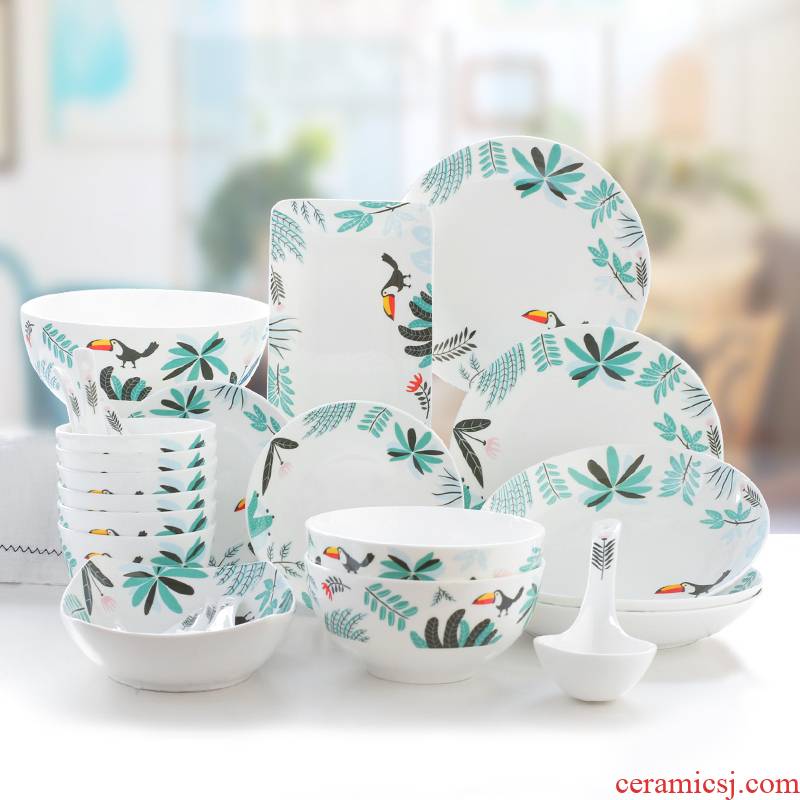 Toucan dishes set tableware suite 28 head of household bowls plates housewarming gift porcelain, ceramic tableware marriage