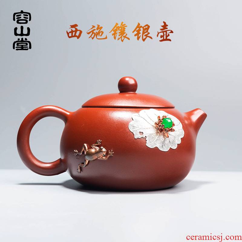 Leopard lam, authentic checking dahongpao violet arenaceous kung fu xi shi silver painting of flowers and birds in single pot teapot household size capacity