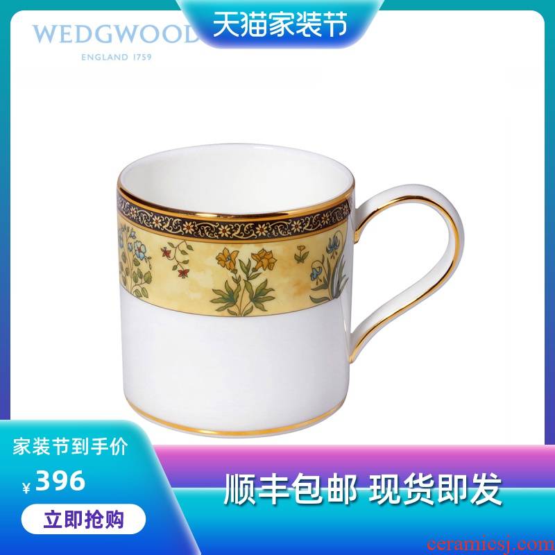 Wedgwood waterford Wedgwood India India flower ipads China mugs/milk cup match WMF coffee cup