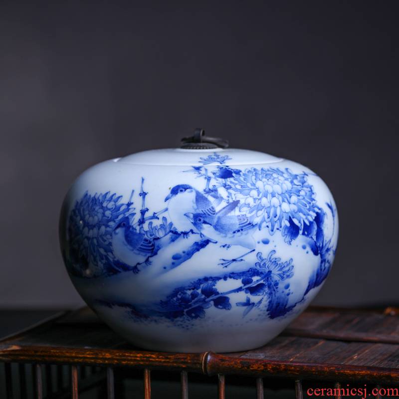 Offered home - cooked hand blue and white porcelain in jingdezhen porcelain tea pot Jin Hongxia ceramic tea tea is tea storehouse storage tank