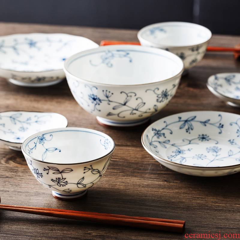 Line tang grass dishes to use chopsticks plates imported from Japan suit under the glaze color home 2 people eat Japanese ceramics tableware