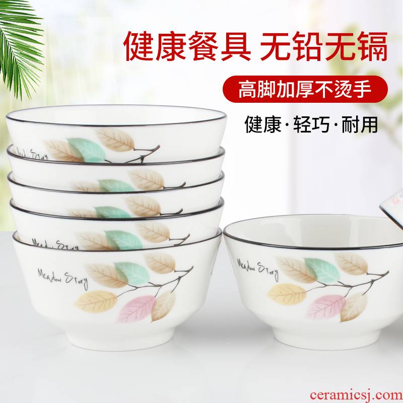 Home dishes suit students Japanese creative lovely move individual combination rice noodles ceramic tableware hot dishes