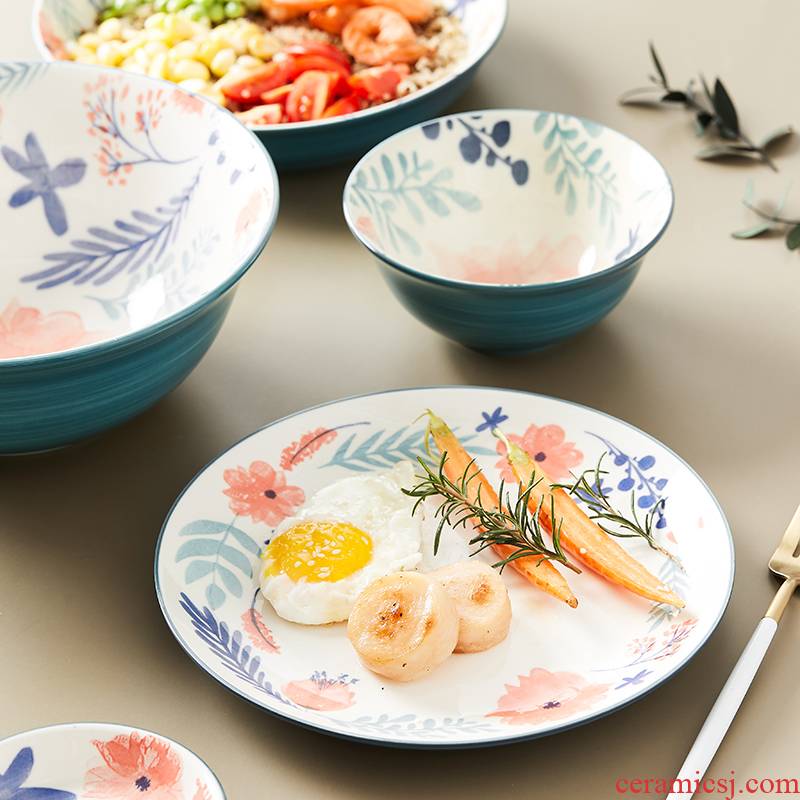 Japanese household hand - made ceramic tableware for a single job in the salad bowl of creative move set bowl plate combination