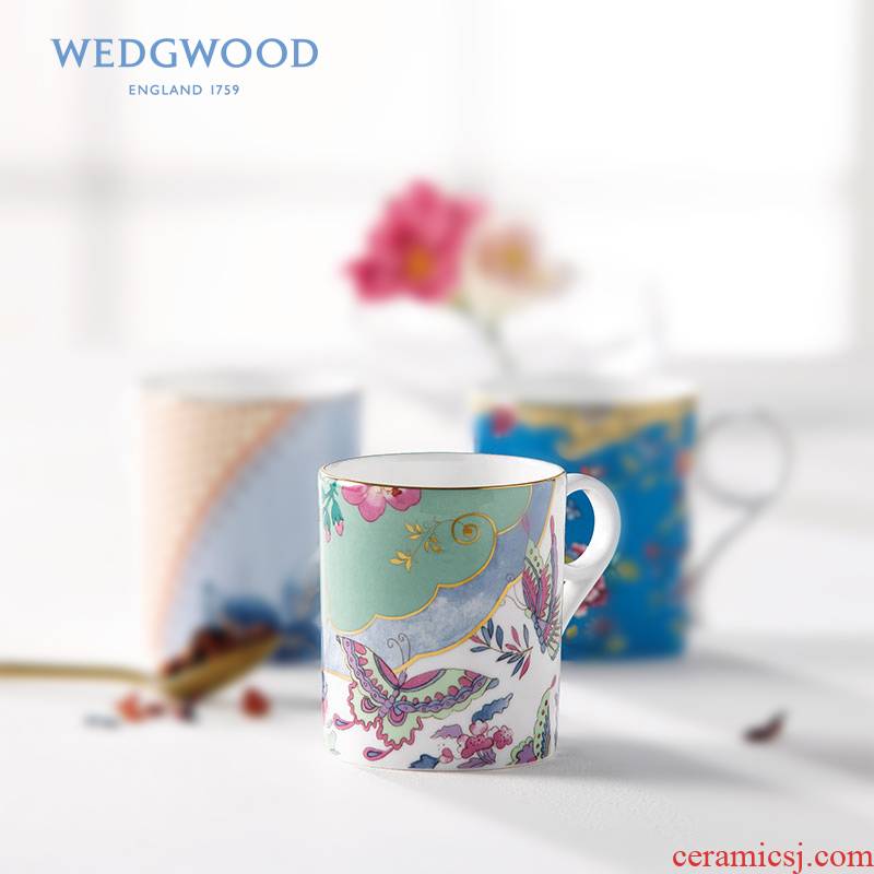 Wedgwood waterford Wedgwood Archive collection 260 ml small ipads China mugs with German WMF coffee spoon