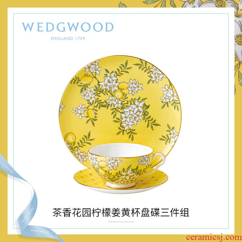 WEDGWOOD waterford WEDGWOOD tea cup dish dish garden three group of ipads China cup dish plate box set in the afternoon