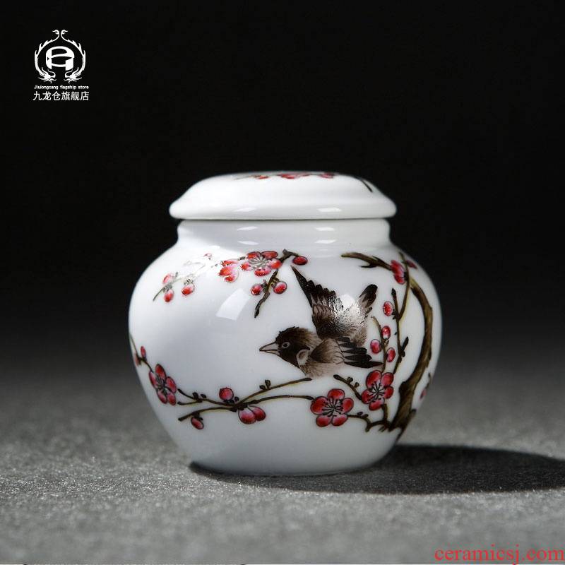 DH jingdezhen pastel hand - made general mini caddy fixings ceramic portable small POTS sealed as cans