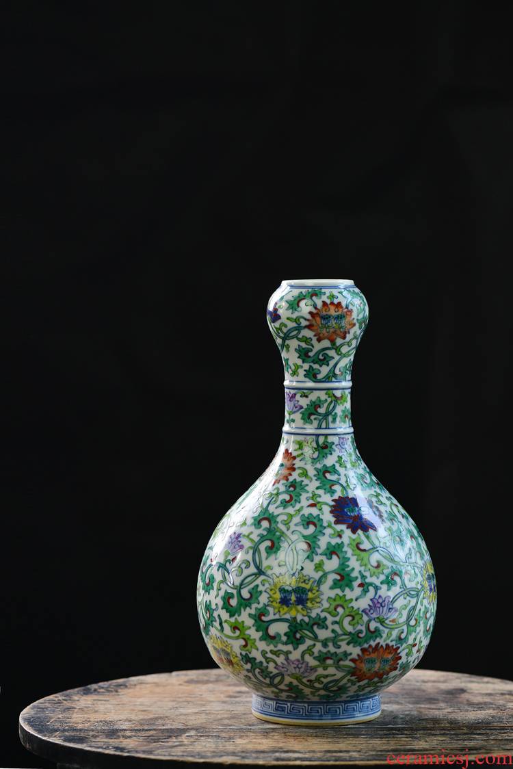 Offered home - cooked hand - made colors branch lotus grain garlic fights in bottles of archaize of jingdezhen ceramic vases, flower receptacle display furnishing articles