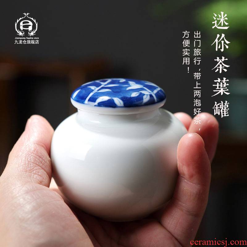 DH jingdezhen mini manual blue and white porcelain tea pot portable travel general ceramic seal storage caddy fixings