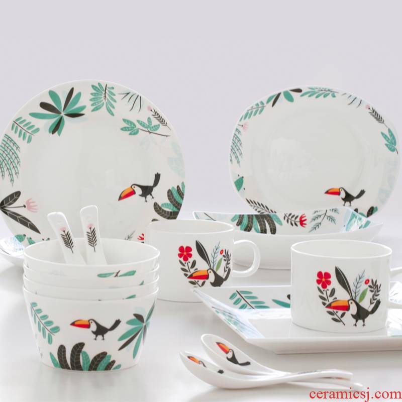 Toucan 16 head dishes dishes practical ipads porcelain tableware ceramics microwave suits for