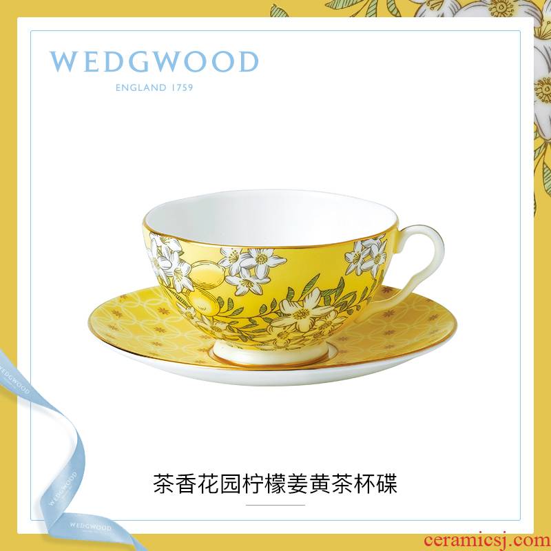 WEDGWOOD waterford WEDGWOOD tea cups and saucers ipads porcelain cup garden teacup saucer coffee cups and saucers box set in the afternoon