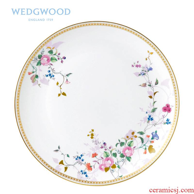 British Wedgwood Rose Gold single golden Rose 20/27 cm ipads porcelain plates only snack plate
