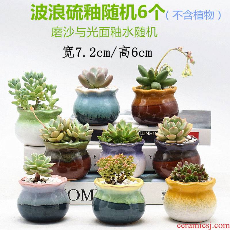 The Fleshy flowerpot ceramic special offer a clearance through pockets ceramic creative interior meat meat the plants flower pot in batch of large diameter