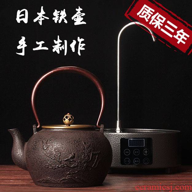 Leopard lam, pig iron pot of cast iron tea kettle Japanese household pure manual household electrical TaoLu kettle boil tea pot
