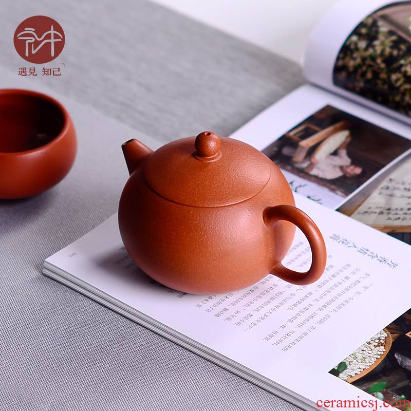 Macros in yixing undressed ore mud sketch zhu xi shi pot of checking ceramic tea pot - household teapot tea set