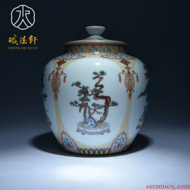 Cheng DE hin jingdezhen ceramic kung fu tea set, pure manual pastel caddy fixings fu xi shou long 74