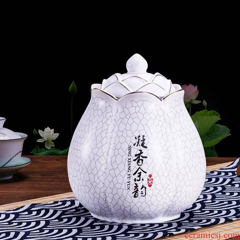 Jingdezhen ceramic tea pot seal "biluochun" household mini caddy fixings half jins of retro portable by hand