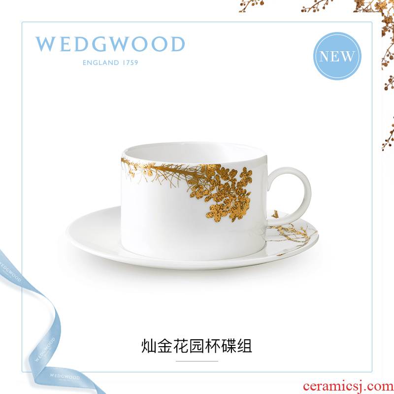 WEDGWOOD Vera Wang Vera Wang gold ipads porcelain coffee cup tea garden tea cups and saucers suits for