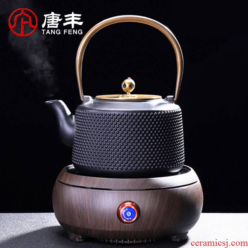 Tang Fengtie cast iron pot of cooked pot household contracted electricity TaoLu kettle electrothermal furnace boiling tea is tea stove suits for