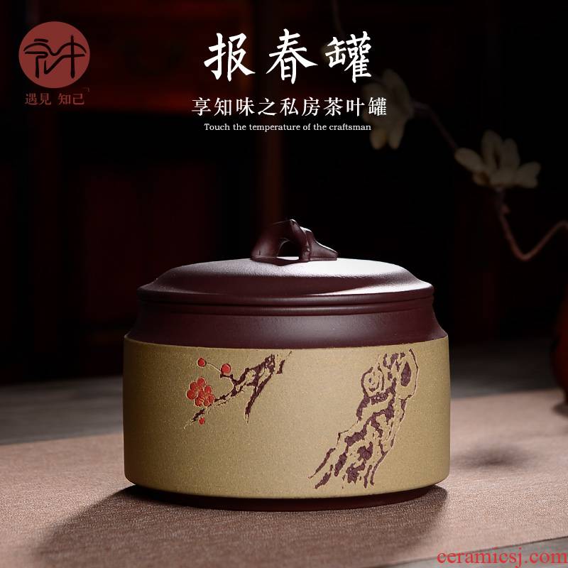 Macros in household violet arenaceous caddy fixings yixing undressed ore pu - erh tea POTS storage sealed POTS 1 catty POTS