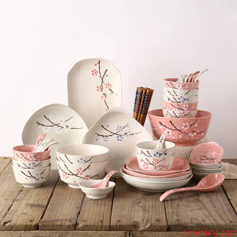 Japanese dishes suit 46 head of household ceramics tableware suit eating the food dishes, plates move wedding gift boxes