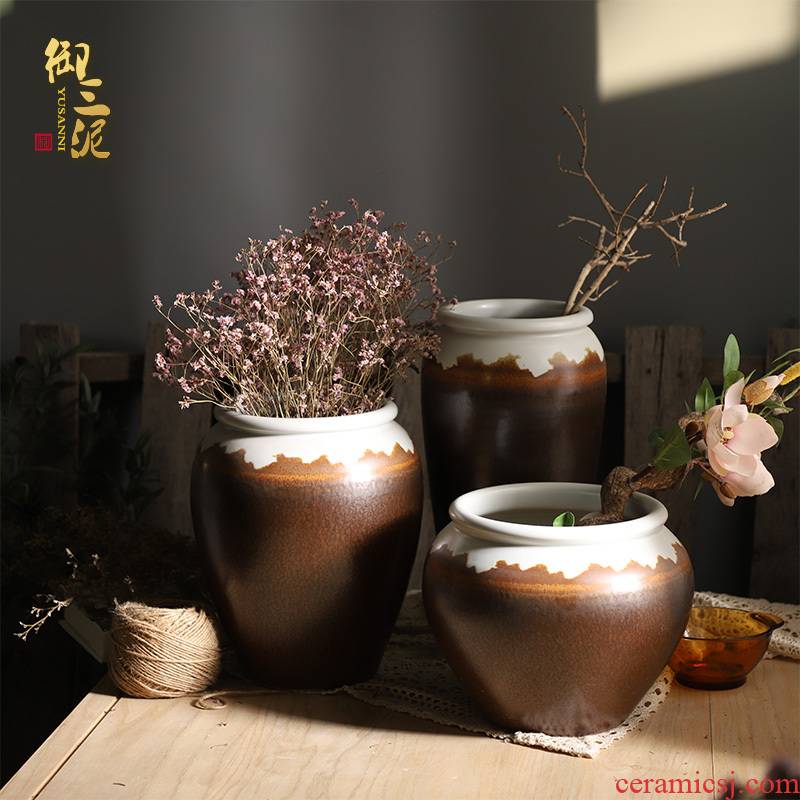 Jingdezhen ceramic new Chinese vase furnishing articles sitting room put lucky bamboo hydroponic fleshy potted flower pot