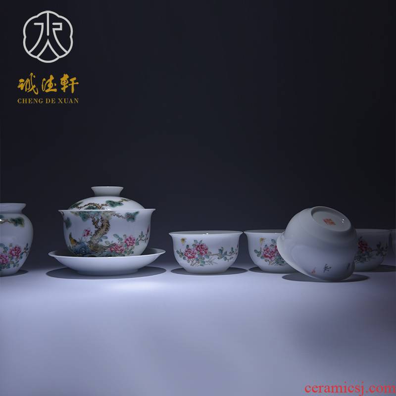 Cheng DE xuan jingdezhen ceramic kung fu tea set suit pure manual set of 8 head powder enamel spring breeze offerings