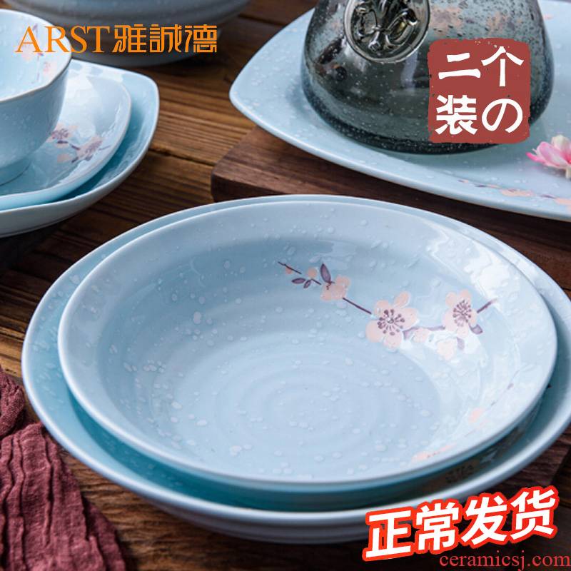 Ya cheng DE Japanese soup plate two composite ceramic household suit plate dish dish tray salad plates