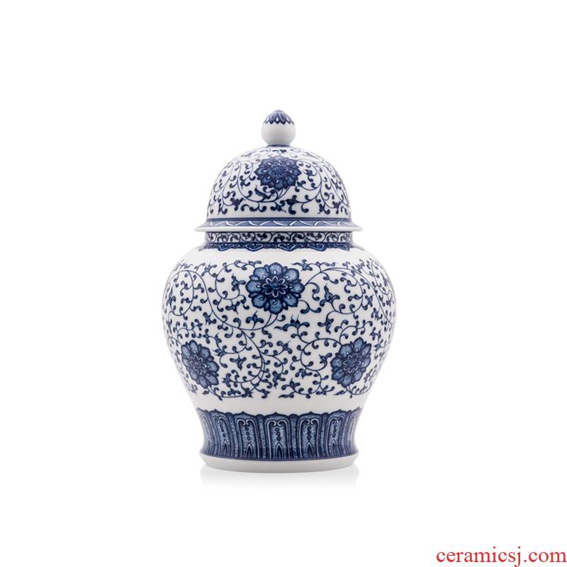 Cheng DE hin kung fu tea set, jingdezhen blue and white caddy fixings of pure checking ceramic accessories hand - made the design of 42 Y