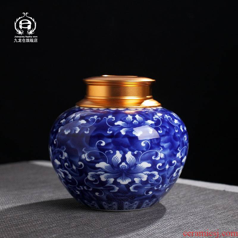 DH household jingdezhen ceramic tea caddy fixings seal pot portable storage tea pot in large POTS, POTS