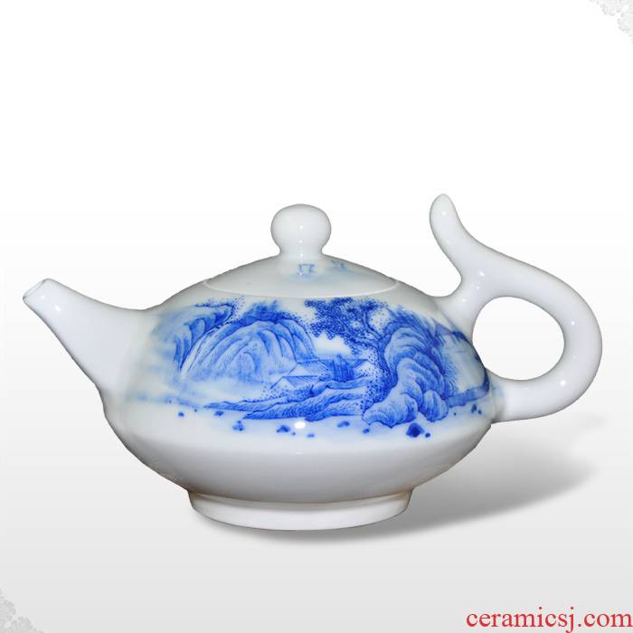 Offered home - cooked hand blue and white porcelain in jingdezhen tea tea tea taking utensils ceramic teapot tea manually