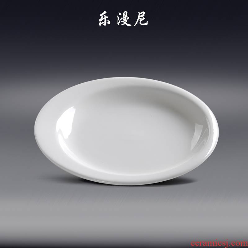 Le diffuse, the wrong body disc - pure white ceramic plate with 2 disk toppings hot dish fish dish