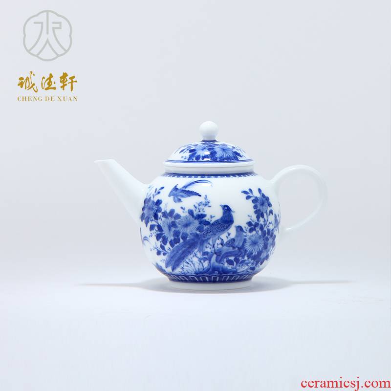 "Custom" cheng DE xuan kung fu tea kettle upscale tea hand - made porcelain jingdezhen ceramics 15 bright future