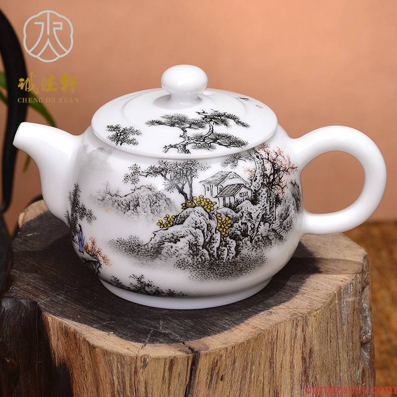 Jingdezhen ceramic high - end custom 】 【 kung fu tea set xiushan checking porcelain teapot color ink 14 th alba