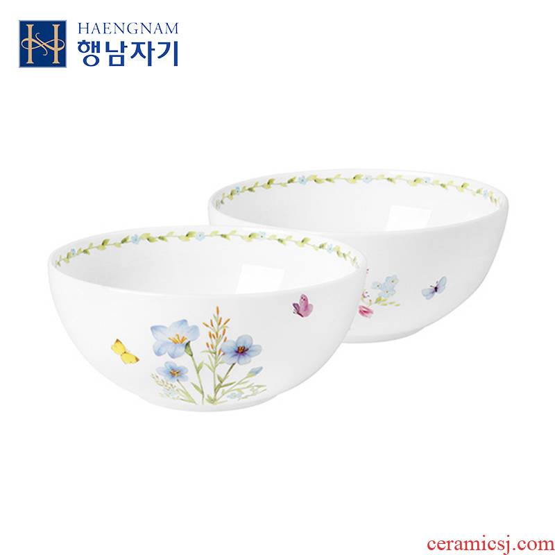HAENGNAM Han Guoxing south China says 7 inch CC rainbow such use 2 only glair ipads porcelain tableware suit
