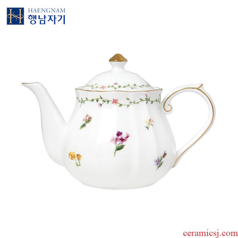 HAENGNAM Han Guoxing south China ipads China tea set says classic teapot only glair technology