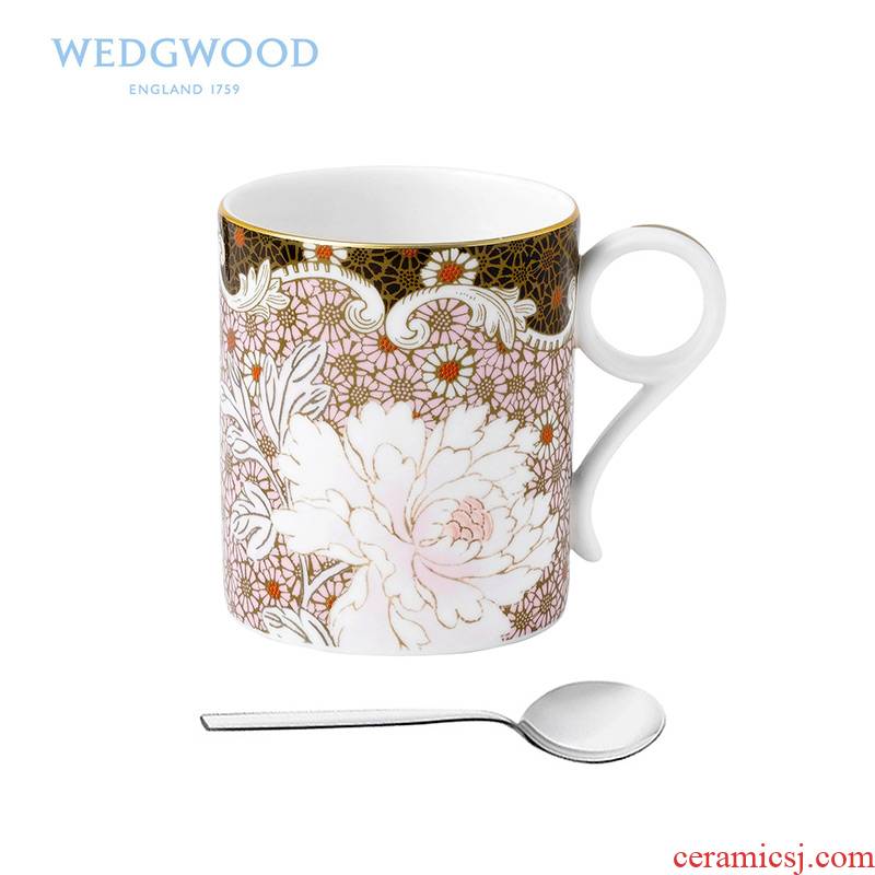 British Wedgwood Daisy Tea Story Daisy mark cup match WMF teaspoons of ipads China cups of coffee cup